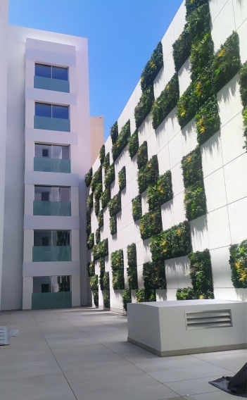 1729843432_daryaestepona3.jpg