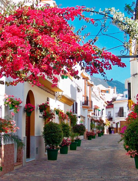 1729842424_daryahomes_estepona.jpg
