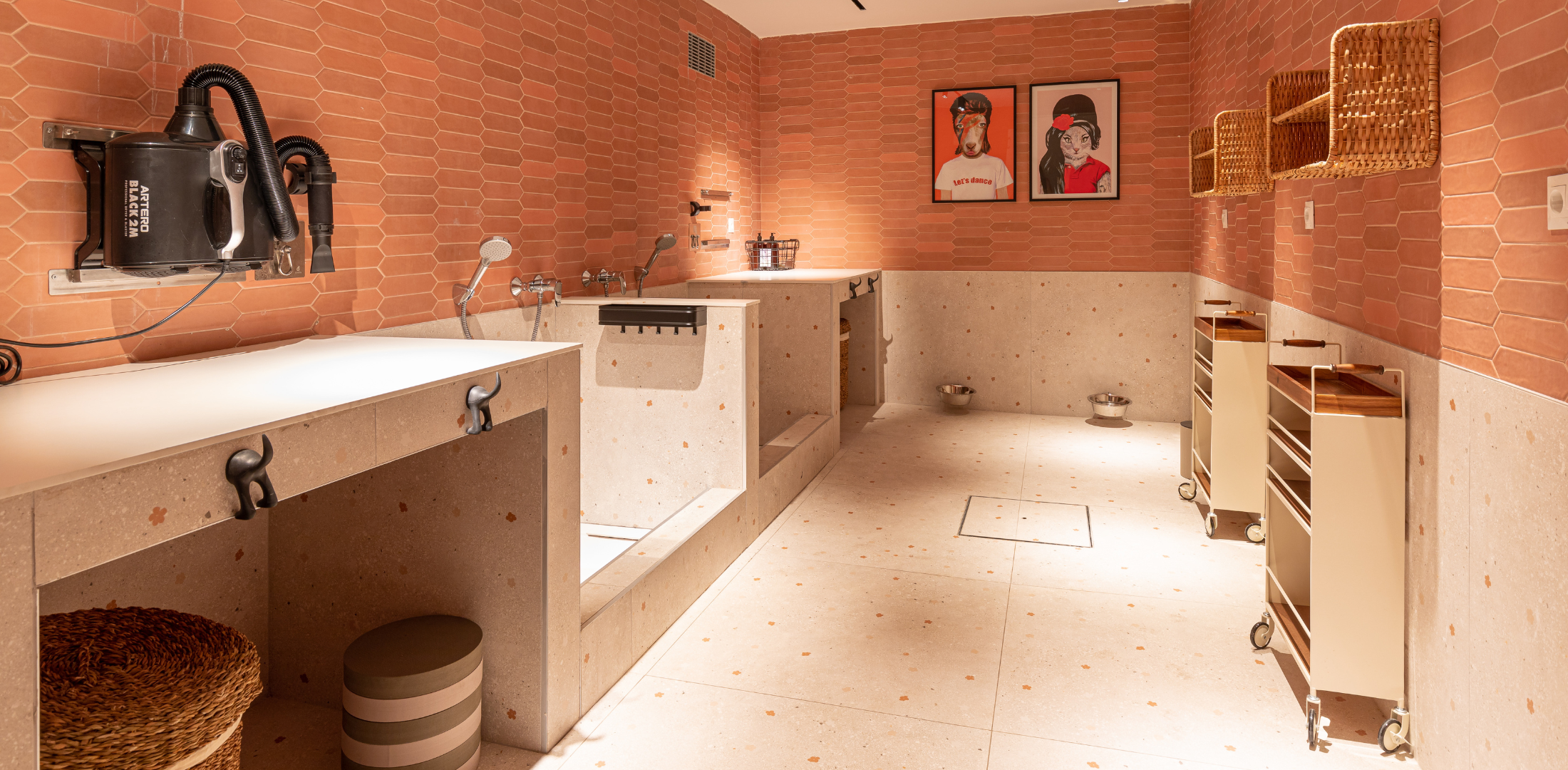 Pet spa en Calido Alcobendas