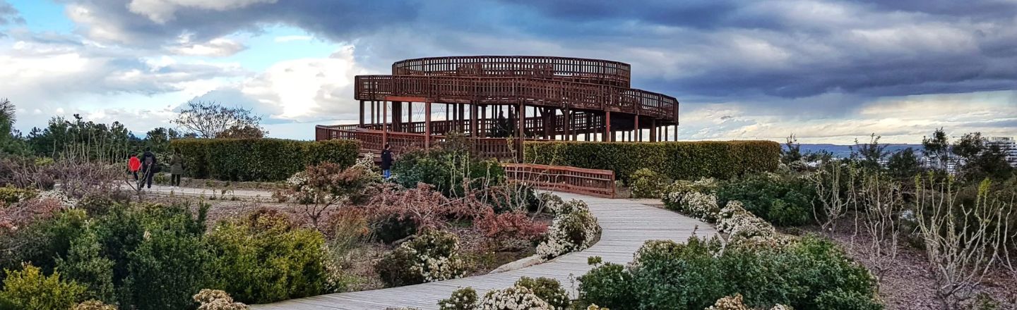 Un plano general del mirador del Parque Forestal de Valdebebas.